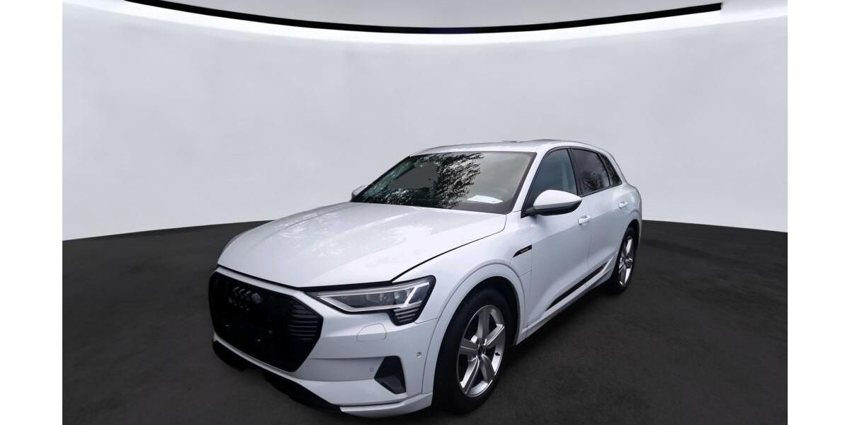 Audi e-tron 26.191 km 30.850 &euro; Hagen 58091