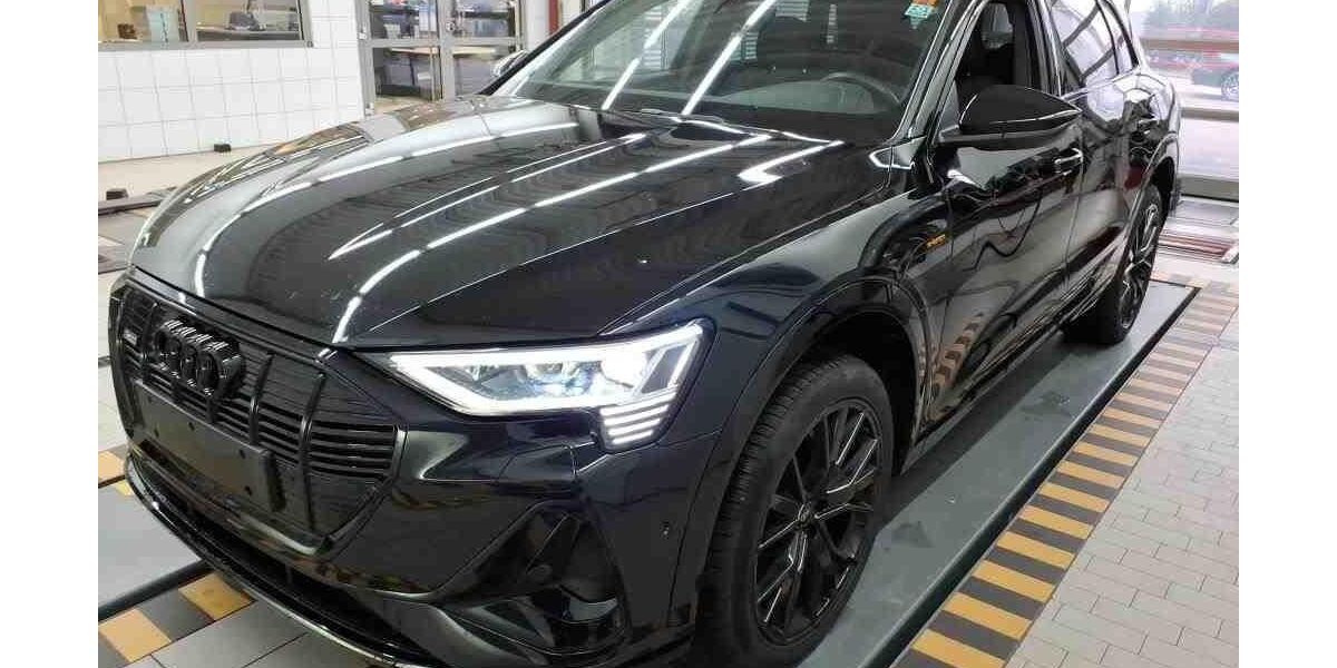 Audi e-tron 41.995 km 39.050 &euro; Hagen 58091