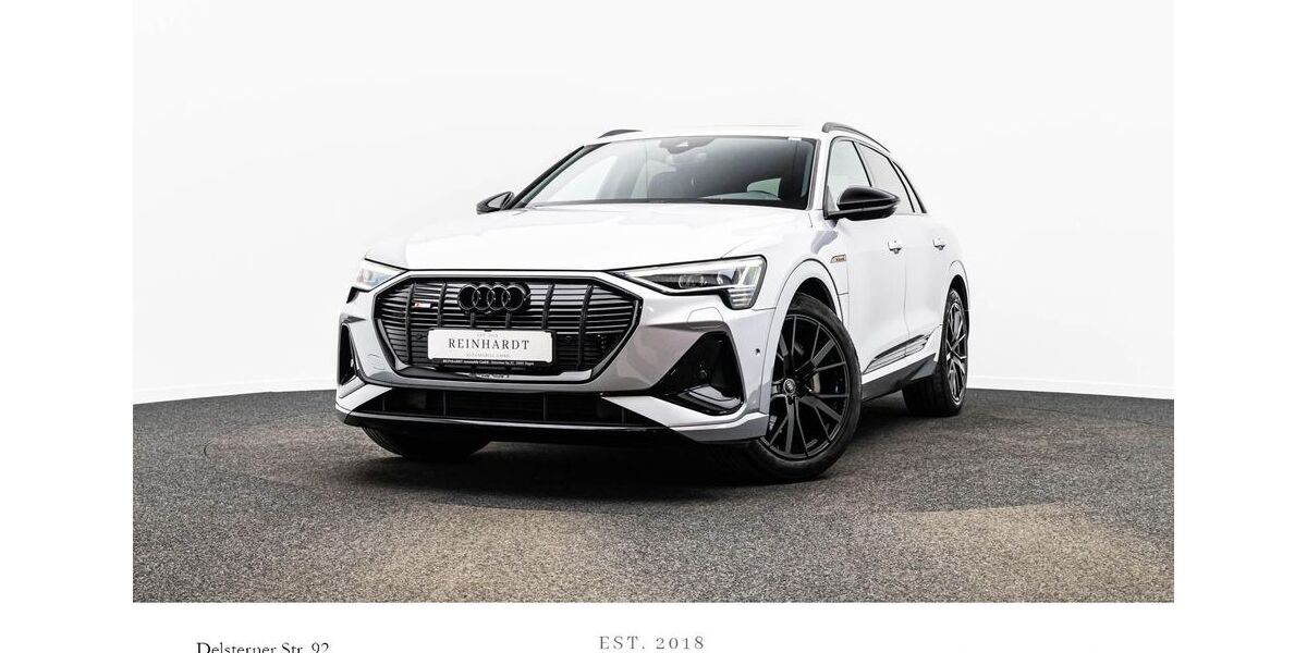 Audi e-tron 53.954 km 38.480 &euro; Hagen 58091