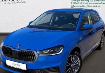 Skoda Fabia 24.005 km 18.290 &euro; Bochum 44805